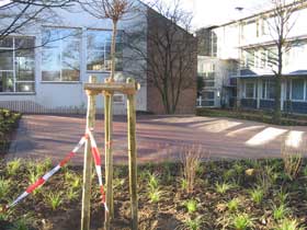 Blick auf den neuen Parkplatz Blick auf den neuen Parkplatz